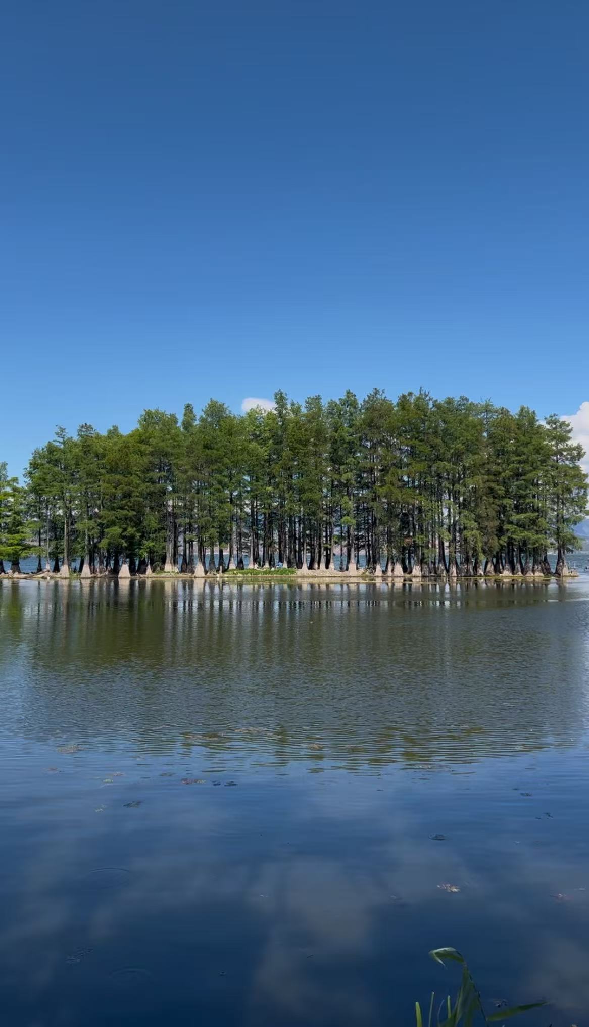 5-Day Yunnan Dali Travel Guide | Cangshan Mountain, Erhai Lake, Old Town, Food & Accommodation Tips